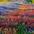 Linda Beecham's profile image