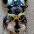 Cathy Estes's profile image