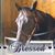 Christal Dunn Fuelling's profile image