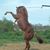 Eloisa N Ramiro Rendon's profile image