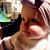 Sarah Schaeffer's profile image