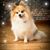 Kim Peters's profile image