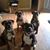 Beth R Napper's profile image