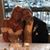 Donna Ann Perez's profile image