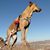 Bill Crinigan's profile image