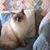 Julie Hyde's profile image