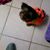 Geraldine Mariani's profile image