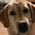 Sherry Smith-Cain's profile image