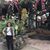 Sarai Rivera's profile image