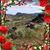Barbara Phillips Huff's profile image
