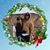 Cyndi Marsala's profile image