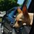 Debbie Browning's profile image