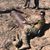 John McLennan's profile image
