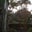 Rachel Bayles's profile image