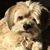 Jodi Lynn Henline's profile image