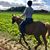 Sandra Kuthe Young's profile image