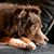 Michelle Nordin-Mills's profile image