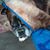 Michele Bigler's profile image