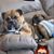 Misty Marcum's profile image