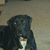John Romeo's profile image