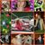 Lindsey Tortorello's profile image