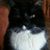 Sandy Bryan's profile image