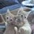 Eileen Staub's profile image