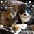 Sheila Gray Eller's profile image