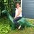 Melissa Sparrow's profile image