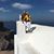 Maria Pino Magnuson's profile image
