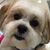 Todd Uhrbach's profile image