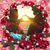 Shelly Stahl's profile image