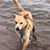 Lynn Huiskamp's profile image