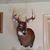 Richard Davis's profile image