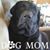 Holly Payne Mead's profile image