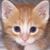 Dunja Skowron's profile image