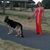 Tami Mello's profile image