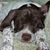 Lydia Seibert's profile image