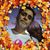 Ismael Baez's profile image