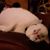 Dawn Everwine Allen's profile image