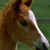 Renee Reece-Murray's profile image