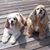 Cheryl Kleinsak Stewart's profile image