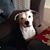 Sylvia Hartzog's profile image