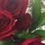 Paola Andrea's profile image
