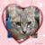 Deb Waterhouse Kaiser's profile image
