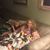 Loretta Suttner's profile image
