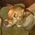 Angie Inman's profile image