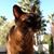 Cheryl Kovan's profile image
