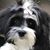 Jana Bowyer's profile image