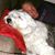 Robert Lombard's profile image
